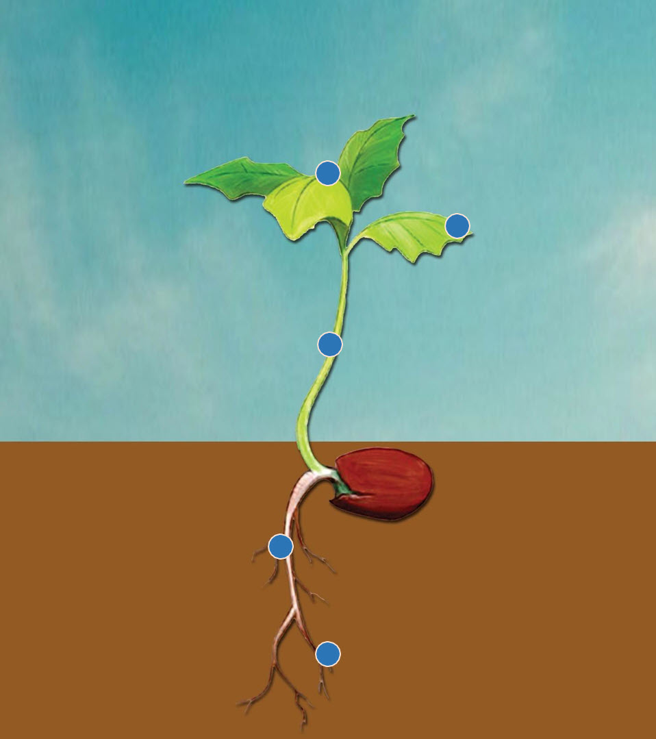 Microbebio Rhizo Activator 14