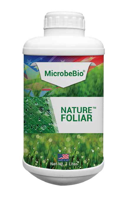 MICROBEBIO