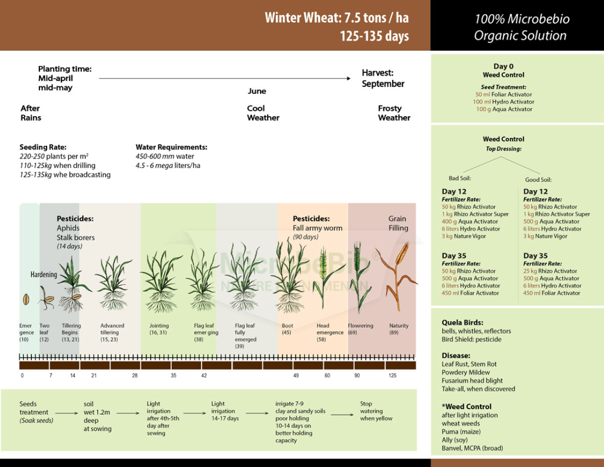 Microbebio Application for Wheat 3