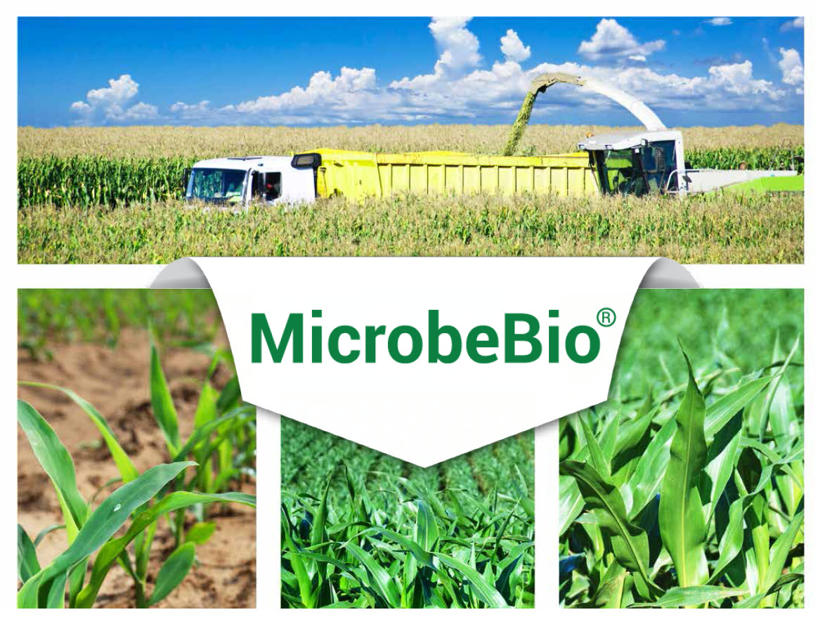 Microbebio Sustainable Regenerative and Carbon Farming