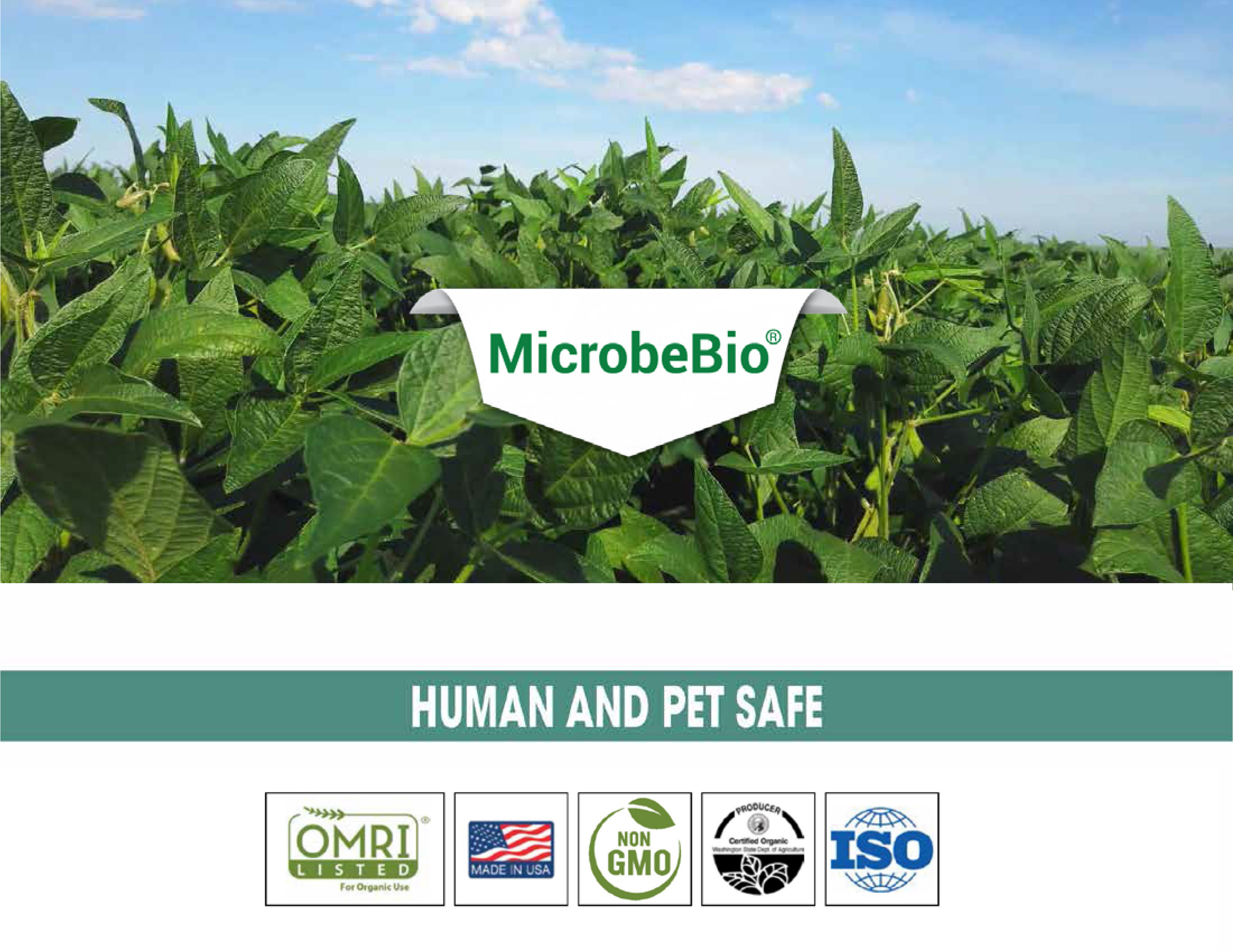 MICROBEBIO soybean application Hydro activator