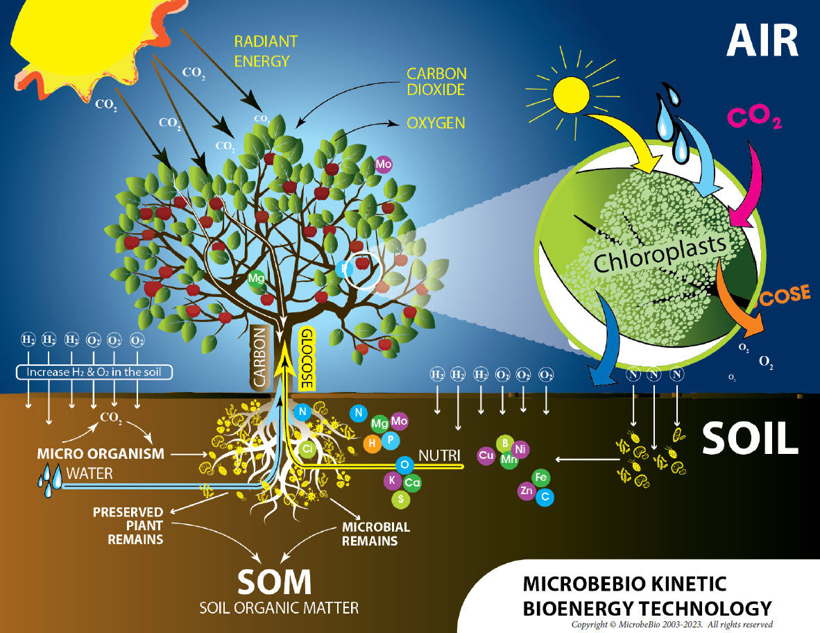 MICROBEBIO sustainable farming practices