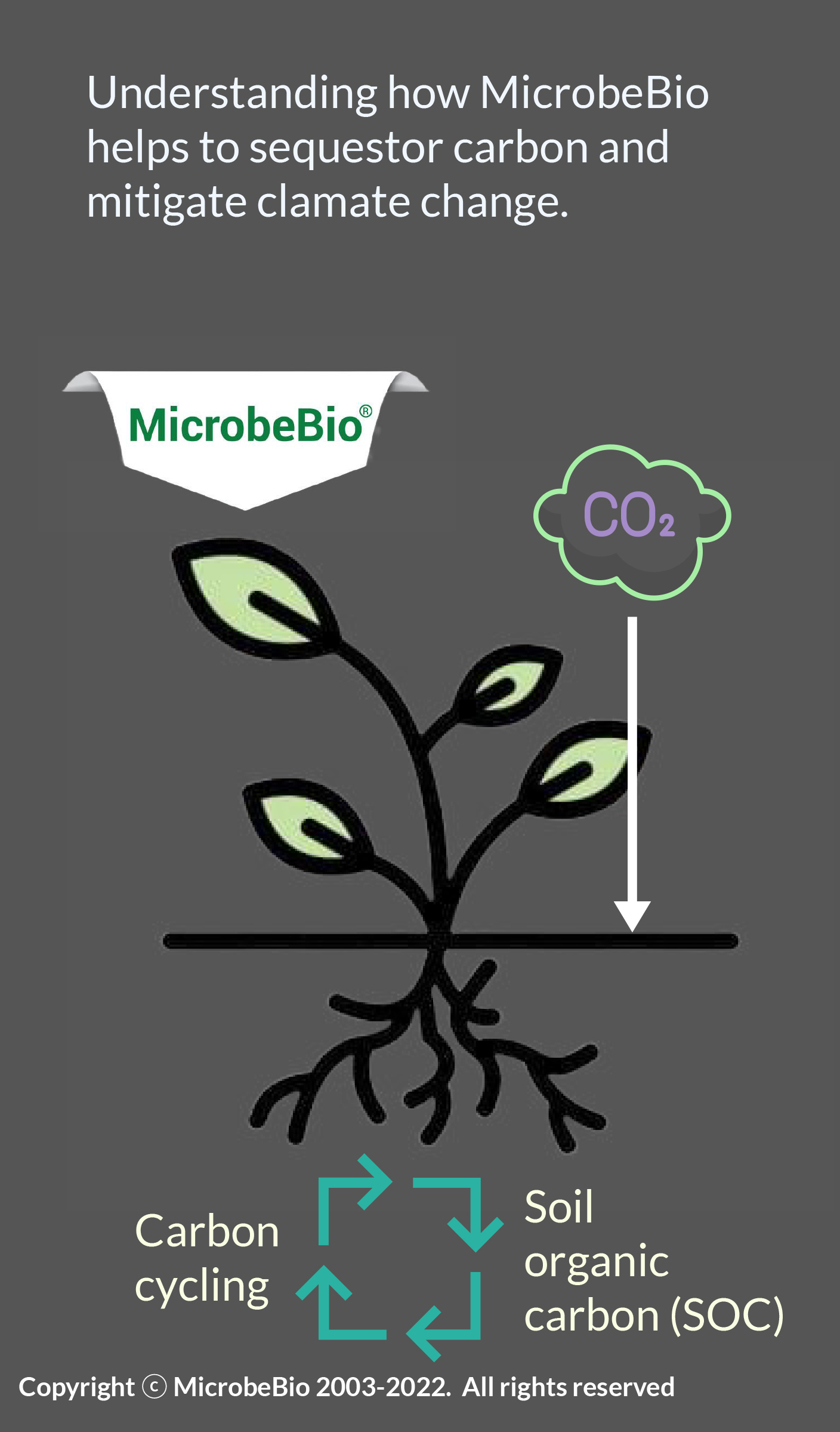 MicrobeBio Presentation