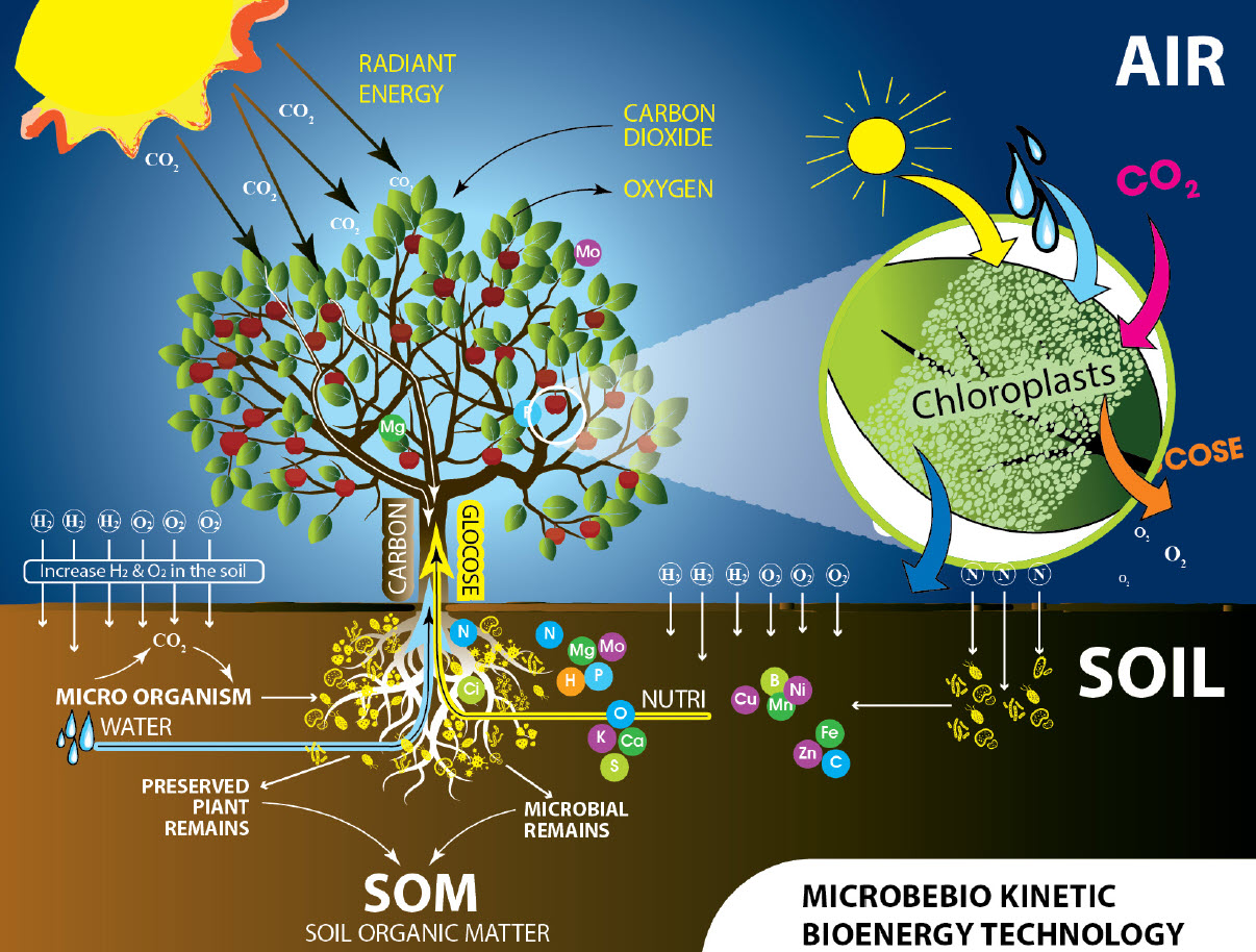 MICROBEBIO sustainable farming practices